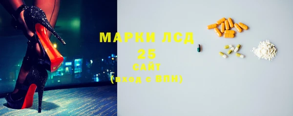 винт Каменка